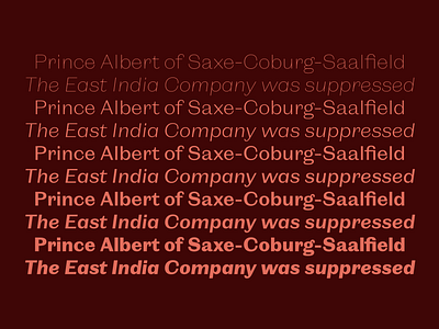 Orla Sans dstype sans typeface typography