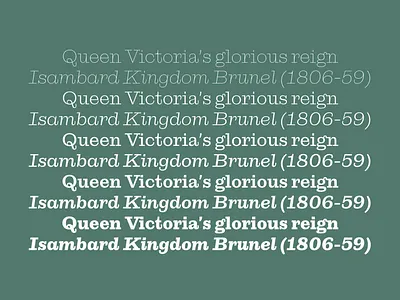 Orla Serif dstype serif typeface typography