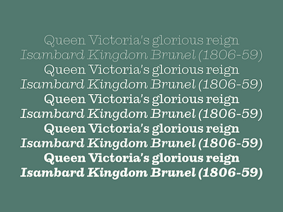 Orla Serif dstype serif typeface typography