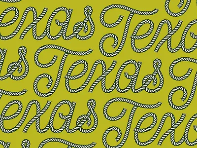 🤠 brush cowboy experiment fun lasso lettering pattern rope script test texas