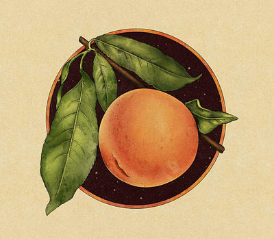 Peachy design illustration photoshop procreate retro texture truegrit vintage