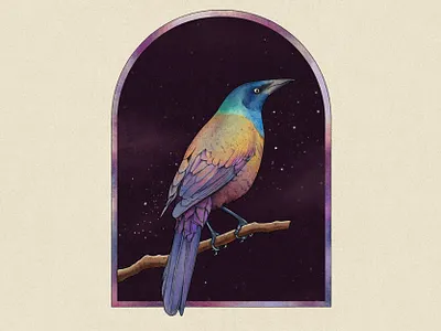 Iridescent Common Grackle illustration photoshop procreate retro texture truegrit vintage