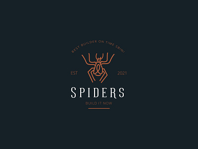 SPIDERS LOGO DESIGN art cartoon computer connection creepy cube danger design electronic flat geometric halloween icon logotype silhouette solution spider symbol tattoo web