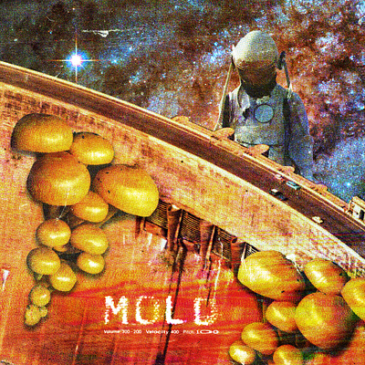 #collageretreat 123. 03/07/2021. astronaut collage collage art collage retreat dam digital collage digital illustration distorted type fungi illustration mold mushroom scanner type surreal textured typography weird