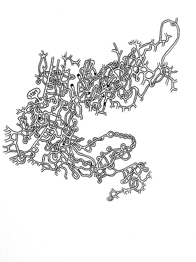 Maze 1 illustration photo art sketch