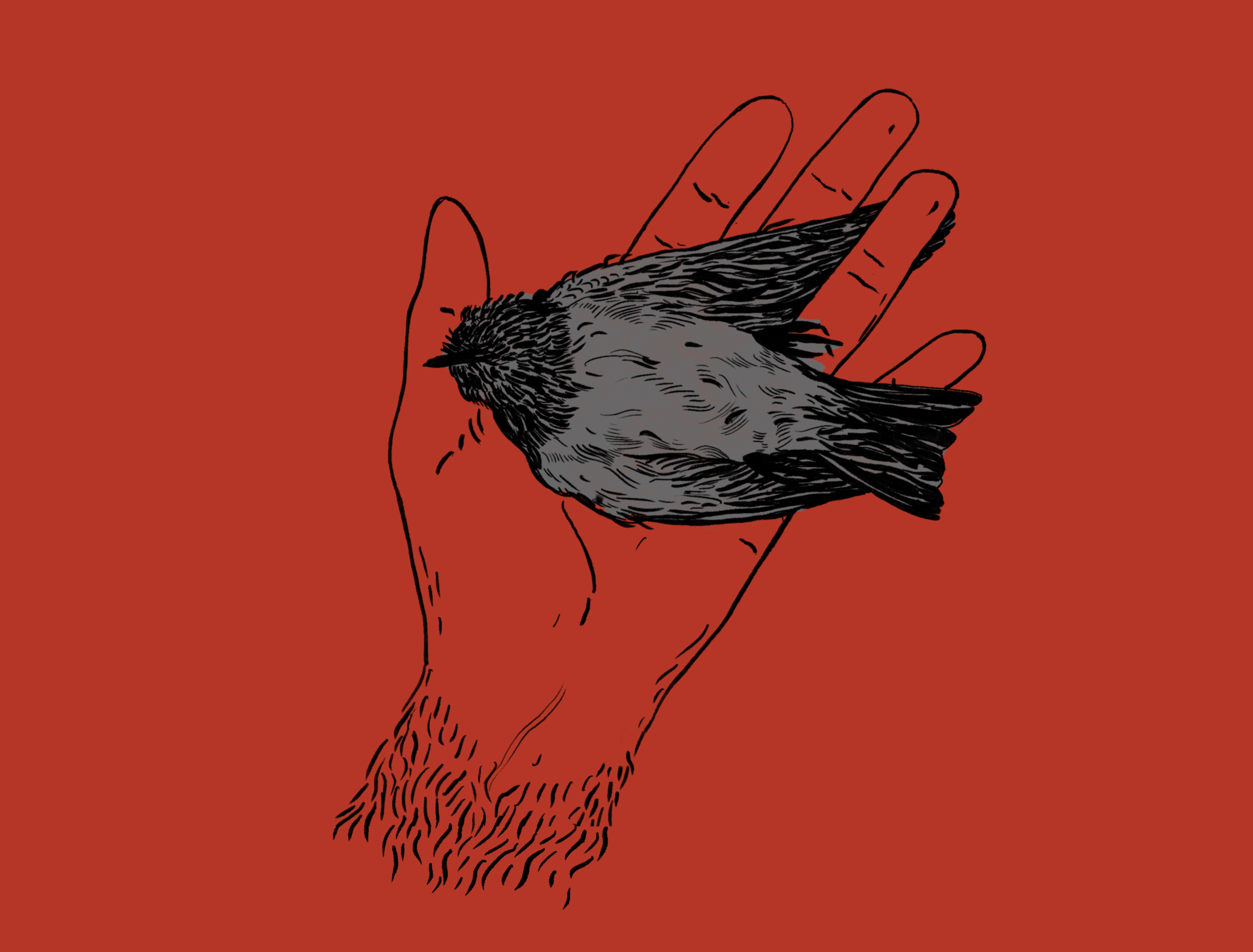 Example of My neighbor 4