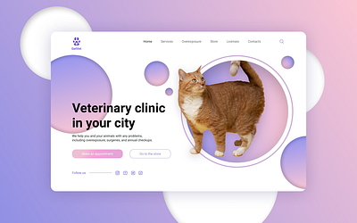 Shot for Veterinary clinic app art clean design logo minimal ui ux web website