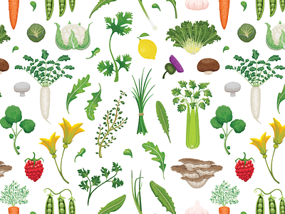 Fruits and Vegetable Pattern celery conscious cooking coriander daikon food fruit lemon mushrooms nature pattern radish raspberry textile thyme vegan vegetables vegetarian watercress