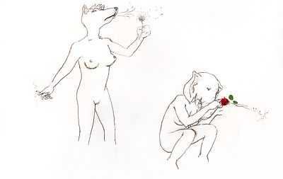 Francis Rose illustration pencil art sketch