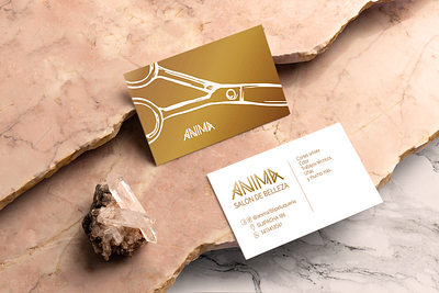 Anima card branding card design design logo design