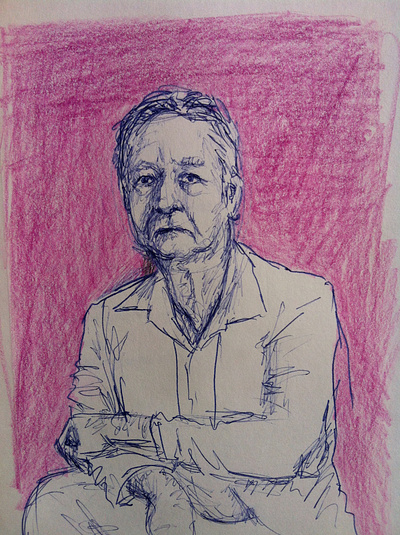 Bernie colour pencil illustration sketch