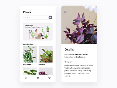 Plants Care app camera flower garden ios mobile plant app plant care plants prototype search slider ui ux