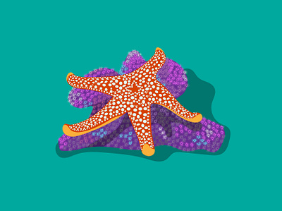 Starfish design illustration sea sea creature star starfish vector vector illustration