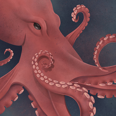 Octopus affinity designer art artwork digital digital illustration illustration illustration art illustrator octopus underwater