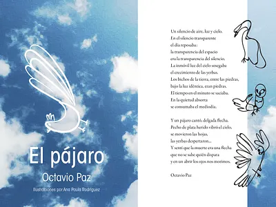 El pájaro exploration