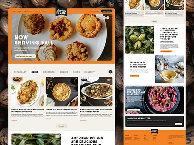 American Pecans | Homepage Concept branding carousel concept earthy eco food food styling homepage landing page navigation nut pecan plant recipe rounded ui ux visual identity web design website