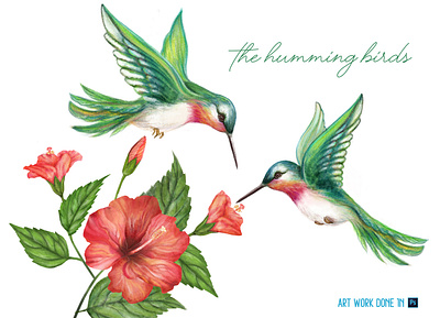 Hummings! animals design flower illustraion layout