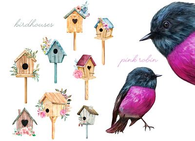 My love for birds.... animals design illustraion illustration nature