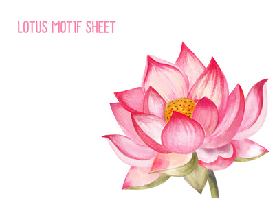 The India National Flower! design digital painting digitalart drawing flower freehand illustraion illustration nature objects