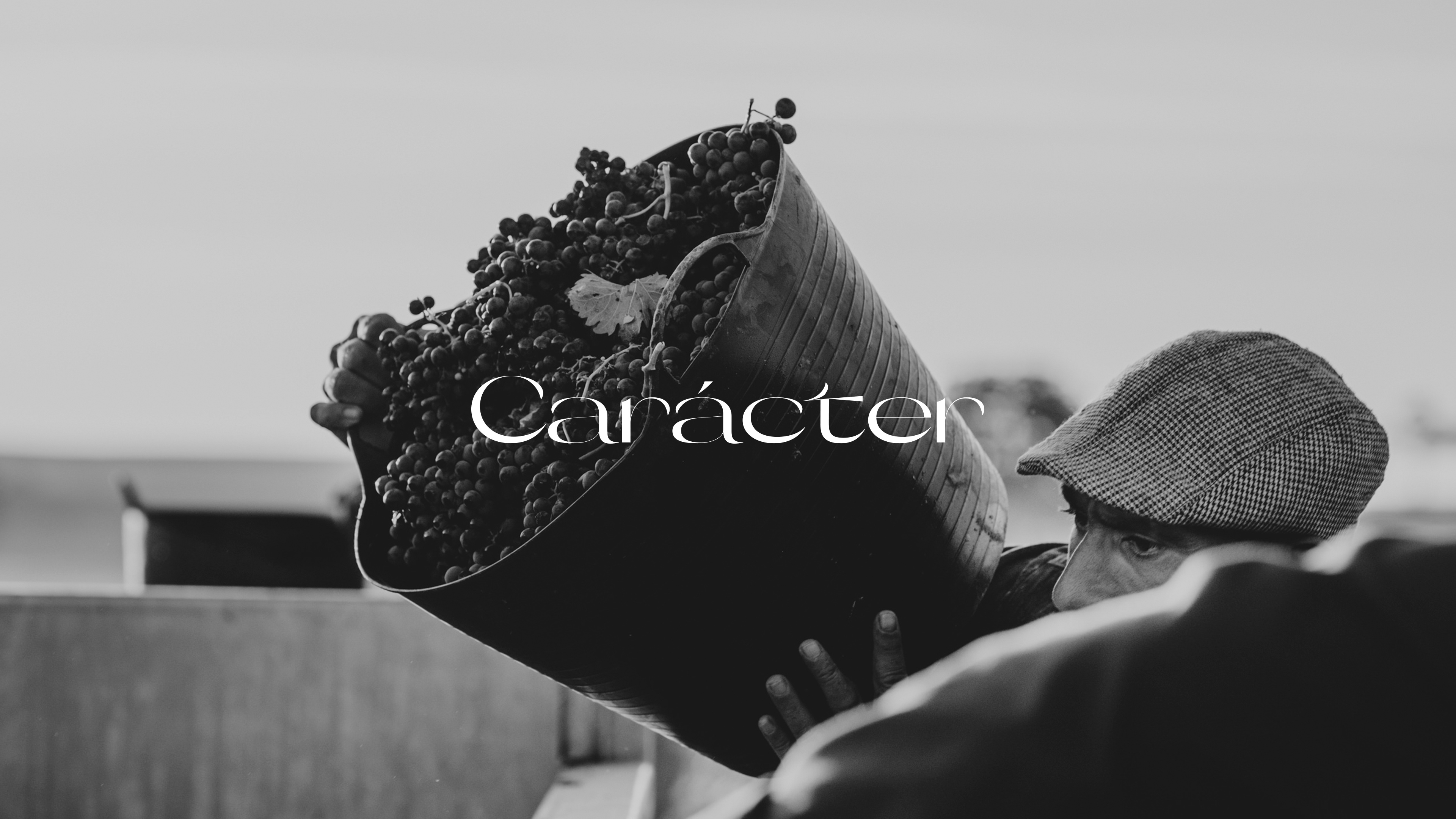 Example of High End Branding & Visual Strategy