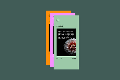 045 #DailyUI Info Cards branding cards dailyui dailyuichallenge event app flowers garden gardening info cards information ui ui design ux