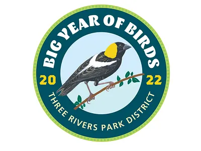 Big Year of Birds logo and patch bird logo patch