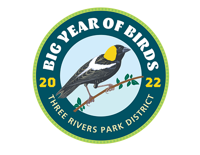 Big Year of Birds logo and patch bird logo patch