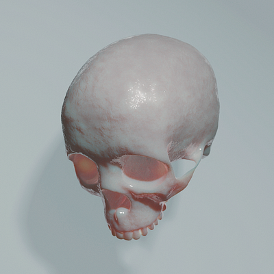 Porcelain Skull NFT 3d 3d skull adobe dimension blender blender 3d blender3d c4d cinema4d crypto crypto art crypto trading crypto wallet foundation nft nftart nfts rarible skull skull art skulls