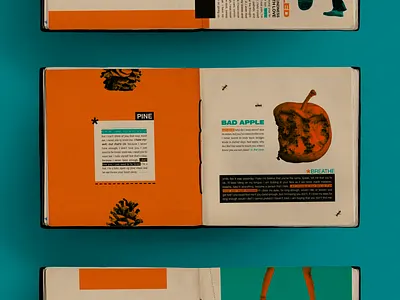 BASEMENT - EVERYTHINGBOXSET book box collage editorial editorial design graphic design lyrics book music