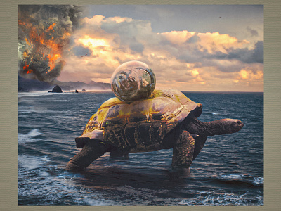 Turtle graphic photomanipulation photos photoshop photoshop art sf