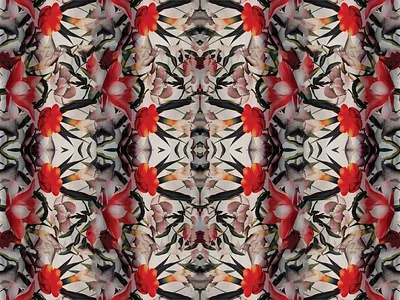 Floral pattern Mirror Image fashion illustrator photography photoshop rendering