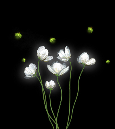 Night flowers adobe illustrator adobe photoshop decoration fireflies flower flower illustration flowers flowers illustration glow illustration night