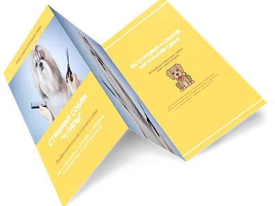 флаеры design illustration typography