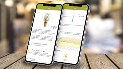 Home Plants care design figma floral floral care information interface mobile app plants plants app