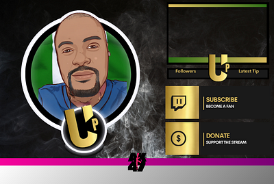 Twitch Logo, Panels, Face Cam logo logo design panel design twitch logo