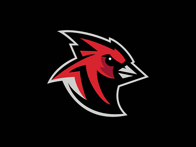 Cardinal Vector Process animal bird bird logo brand branding cardinal design feather head logo mascot matthew doyle process speedart sport logo sports team vector vectoring wings