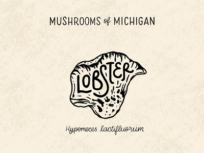 Lobster Mushroom black and white forage foraging hand drawn hand lettering identify illustration illustrative lettering lettering lobster lobster mushroom lobsterstudio michigan monoline mushroom mushrooms nature screenprint typography