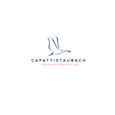 CAPATTISTAUBACH branding design illustration logo minimal