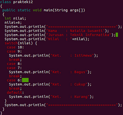 What exactly is System.out.println? NPN Training java system out println