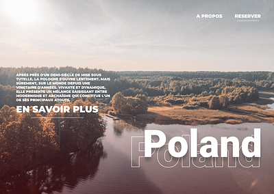 Poland ui app design graphic design minimal typography ui ux web webdesign website