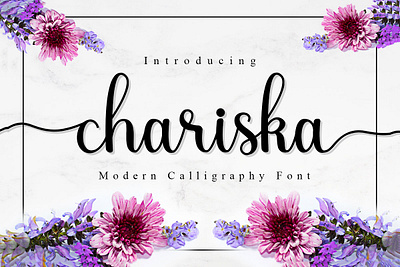 Free Chariska Calligraphy Font bouncy calligraphy clean contemporary cool elegant fancy fonts fun hand drawn hand lettering handdrawn marker pen notebook playful retro sans script typography vintage