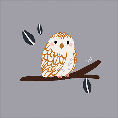 Dieren Alfabet - Uil animal alphabet bird bird illustration childrens illustration cute baby owl dieren dieren alfabet illustration kids minimalist bird nursery owl owl illustration uil uil illustratie vogel