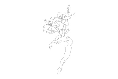 one line art color line art continuous line continuous line art flower line art graphic design illustrator design minimalist line art one line art one line drawing portrait art