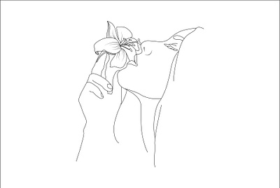 one line art color line art continuous line continuous line art flower line art graphic design illustrator design minimalist line art one line art one line drawing portrait art