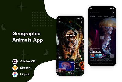 Geographic Animals Mobile UI Design adobe xd app app design art creative design graphic design illustration inspiration mobile app mobile design mobile ui mobile ui kit mobile uiux ui uiux uiux designer uiuxdesign uiuxdesigner uxdesign