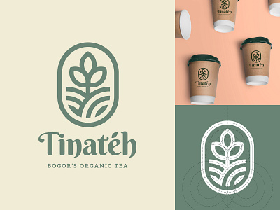 Logo Concept for Tinateh brand brand design brand identity brand identity design brand logo branding corporate identity design graphic design illustration logo logo design logo design concept logo mark logos logotype tea tea logo ui visual identity
