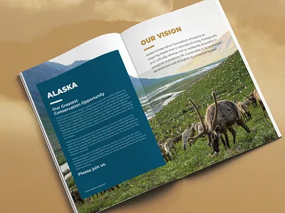 Alaska Conservation Foundation brand guidelines branding design graphic design logo design marketing design typography