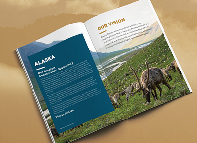 Alaska Conservation Foundation brand guidelines branding design graphic design logo design marketing design typography