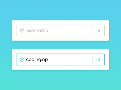 Limit Input Characters using HTML CSS & JavaScript