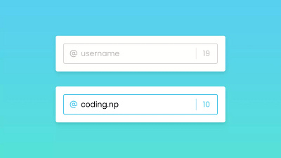Limit Input Characters using HTML CSS & JavaScript